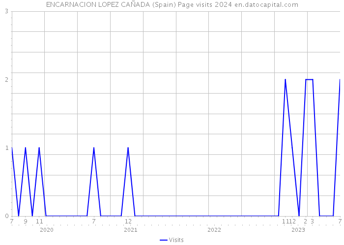 ENCARNACION LOPEZ CAÑADA (Spain) Page visits 2024 