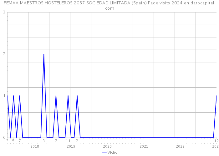 FEMAA MAESTROS HOSTELEROS 2037 SOCIEDAD LIMITADA (Spain) Page visits 2024 