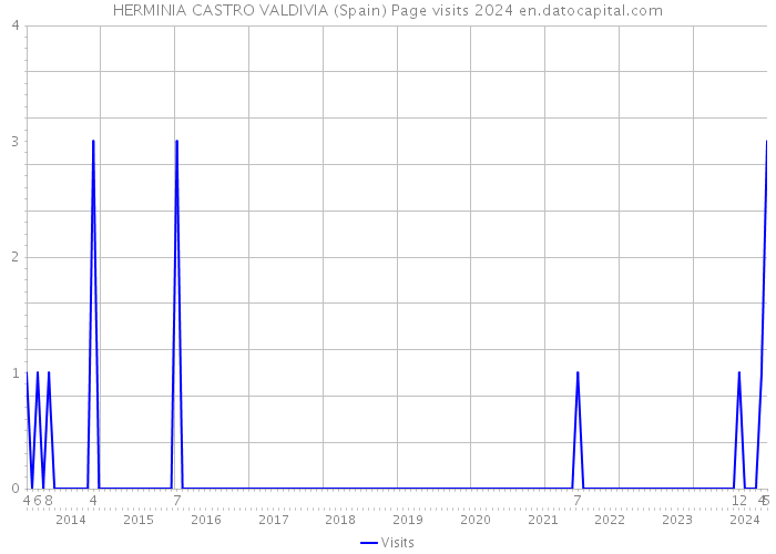 HERMINIA CASTRO VALDIVIA (Spain) Page visits 2024 