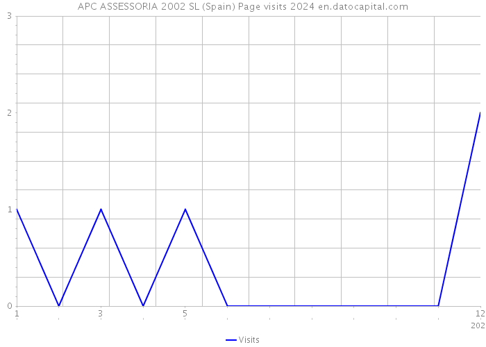 APC ASSESSORIA 2002 SL (Spain) Page visits 2024 