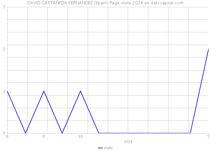 DAVID CASTAÑEDA FERNANDEZ (Spain) Page visits 2024 