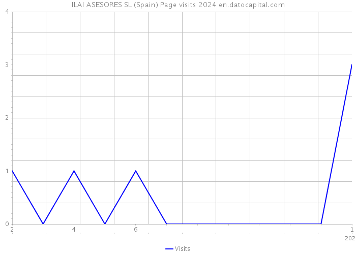 ILAI ASESORES SL (Spain) Page visits 2024 