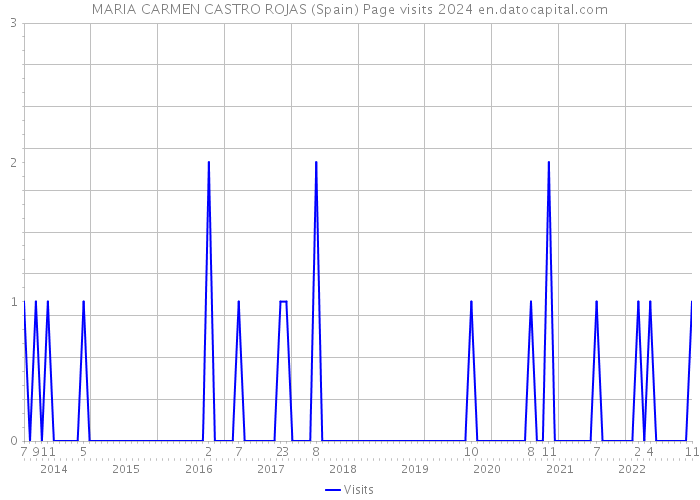 MARIA CARMEN CASTRO ROJAS (Spain) Page visits 2024 