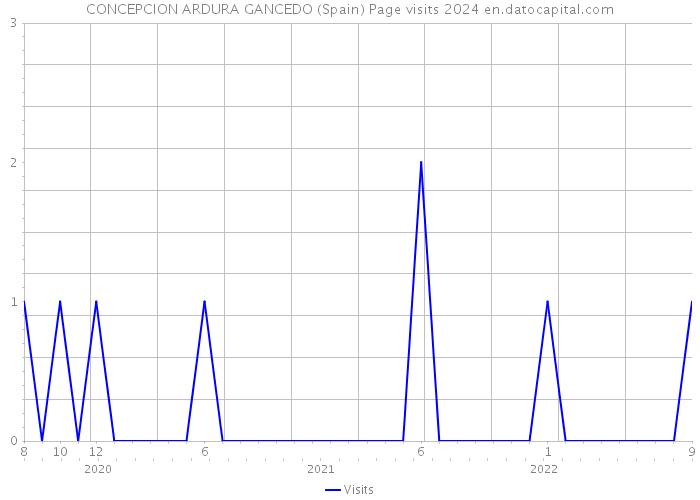 CONCEPCION ARDURA GANCEDO (Spain) Page visits 2024 