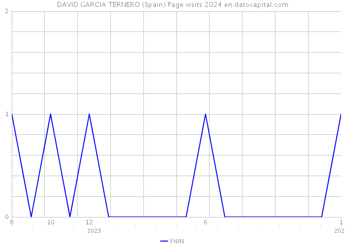 DAVID GARCIA TERNERO (Spain) Page visits 2024 