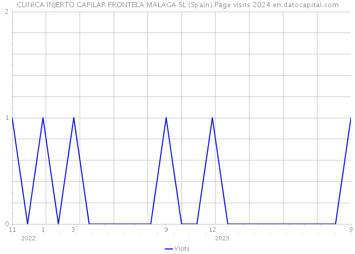 CLINICA INJERTO CAPILAR FRONTELA MALAGA SL (Spain) Page visits 2024 