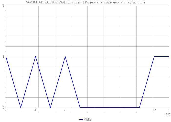 SOCIEDAD SALGOR ROJE SL (Spain) Page visits 2024 