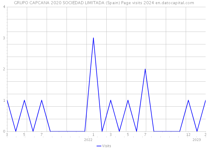 GRUPO CAPCANA 2020 SOCIEDAD LIMITADA (Spain) Page visits 2024 