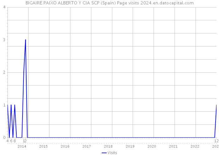BIGAIRE PAIXO ALBERTO Y CIA SCP (Spain) Page visits 2024 