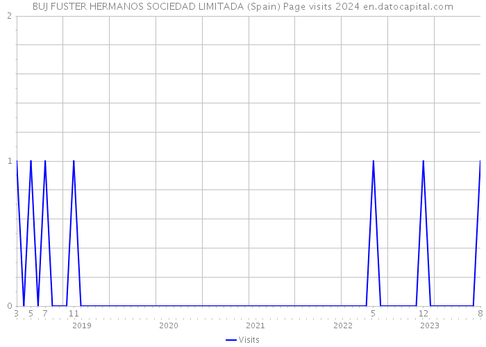 BUJ FUSTER HERMANOS SOCIEDAD LIMITADA (Spain) Page visits 2024 