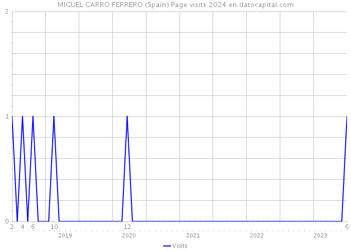 MIGUEL CARRO FERRERO (Spain) Page visits 2024 