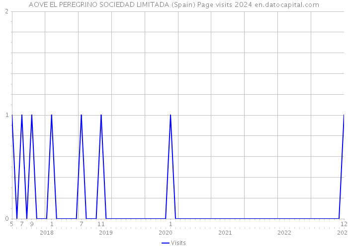 AOVE EL PEREGRINO SOCIEDAD LIMITADA (Spain) Page visits 2024 