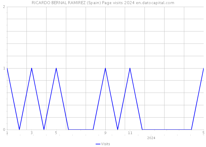 RICARDO BERNAL RAMIREZ (Spain) Page visits 2024 