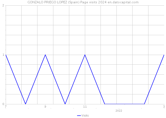 GONZALO PRIEGO LOPEZ (Spain) Page visits 2024 