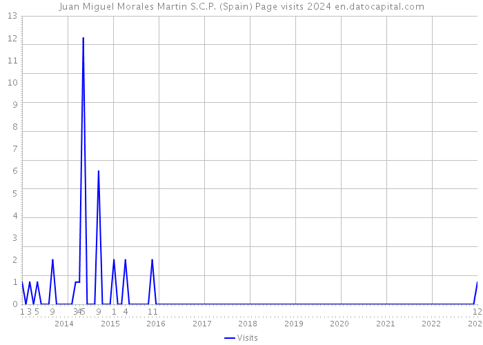 Juan Miguel Morales Martin S.C.P. (Spain) Page visits 2024 