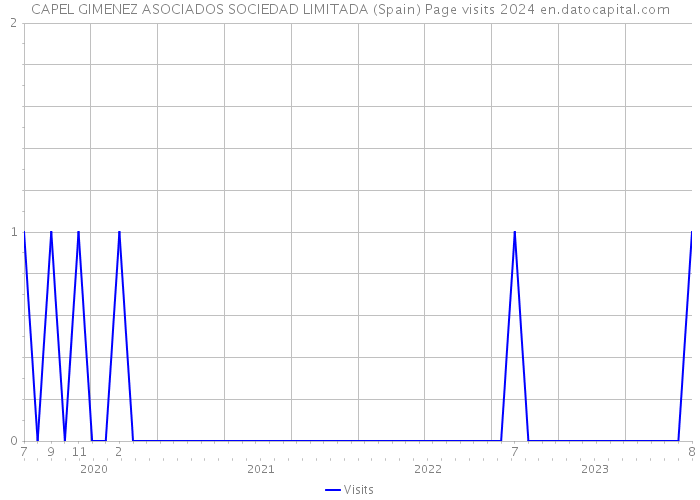 CAPEL GIMENEZ ASOCIADOS SOCIEDAD LIMITADA (Spain) Page visits 2024 