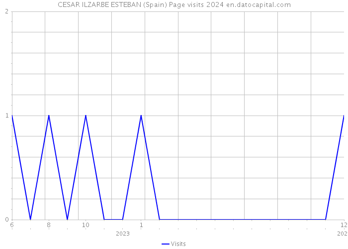 CESAR ILZARBE ESTEBAN (Spain) Page visits 2024 