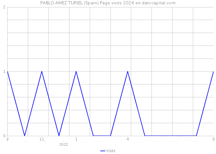 PABLO AMEZ TURIEL (Spain) Page visits 2024 