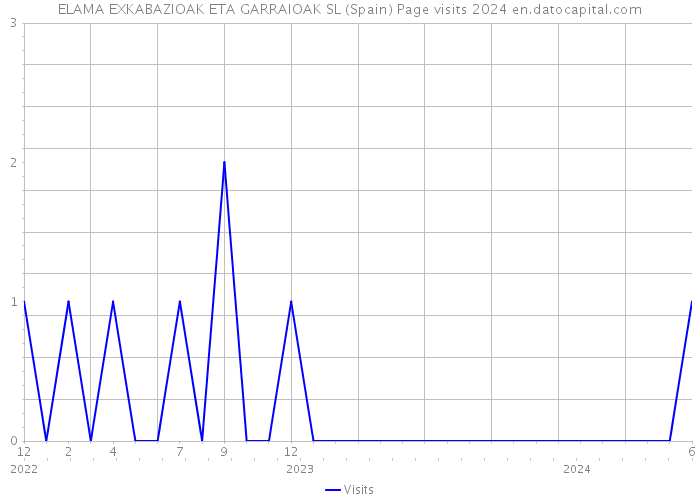 ELAMA EXKABAZIOAK ETA GARRAIOAK SL (Spain) Page visits 2024 