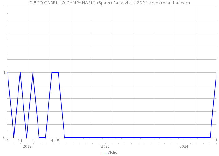 DIEGO CARRILLO CAMPANARIO (Spain) Page visits 2024 