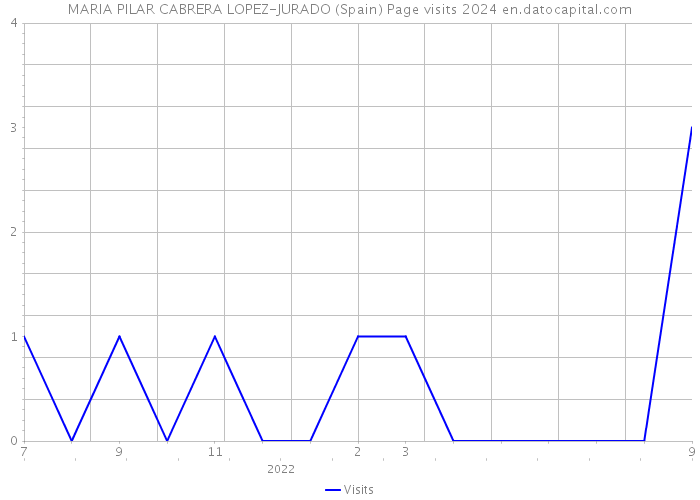 MARIA PILAR CABRERA LOPEZ-JURADO (Spain) Page visits 2024 