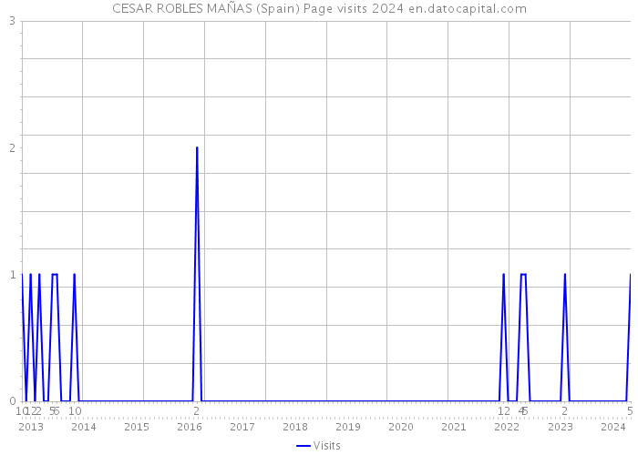CESAR ROBLES MAÑAS (Spain) Page visits 2024 