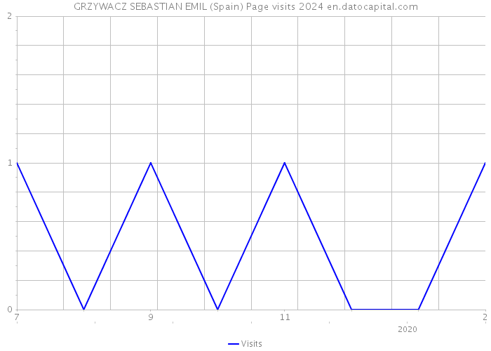 GRZYWACZ SEBASTIAN EMIL (Spain) Page visits 2024 