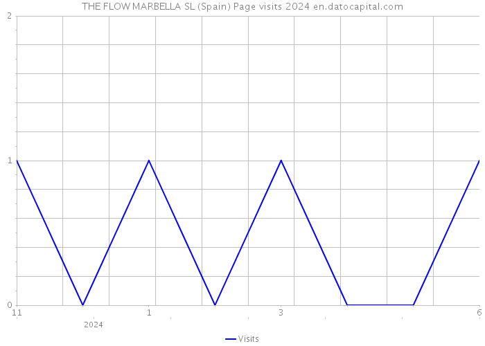 THE FLOW MARBELLA SL (Spain) Page visits 2024 