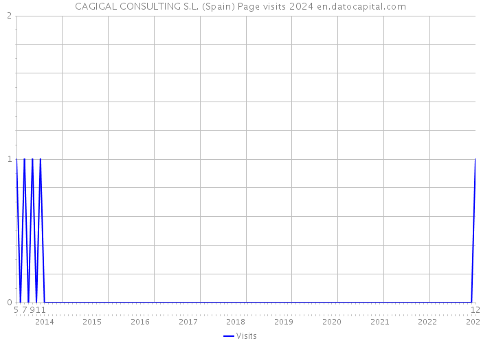 CAGIGAL CONSULTING S.L. (Spain) Page visits 2024 