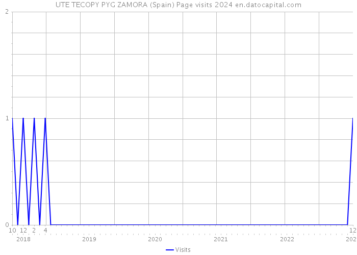 UTE TECOPY PYG ZAMORA (Spain) Page visits 2024 