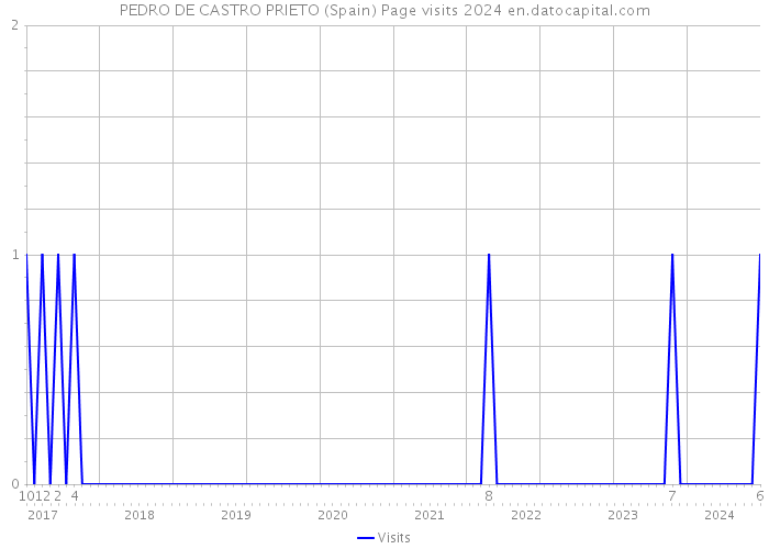 PEDRO DE CASTRO PRIETO (Spain) Page visits 2024 
