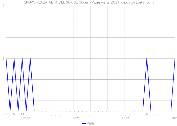 GRUPO PLAZA ALTA DEL SUR SL (Spain) Page visits 2024 