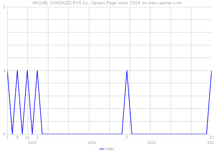 MIGUEL GONZALEZ ROS S.L. (Spain) Page visits 2024 