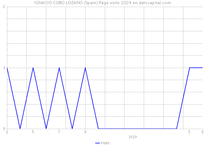 IGNACIO COBO LOZANO (Spain) Page visits 2024 