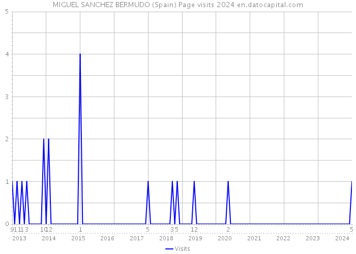 MIGUEL SANCHEZ BERMUDO (Spain) Page visits 2024 