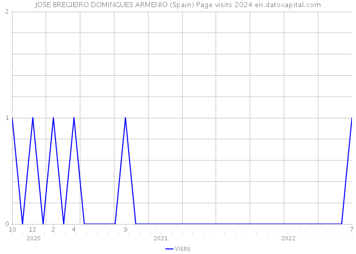JOSE BREGIEIRO DOMINGUES ARMENIO (Spain) Page visits 2024 