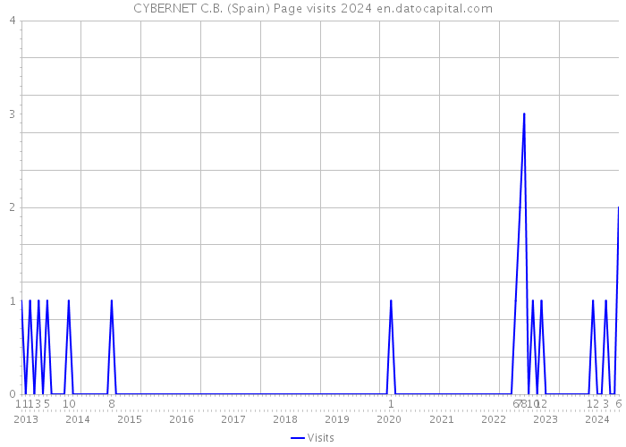 CYBERNET C.B. (Spain) Page visits 2024 