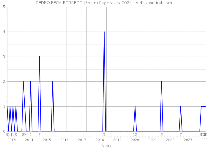 PEDRO BECA BORREGO (Spain) Page visits 2024 