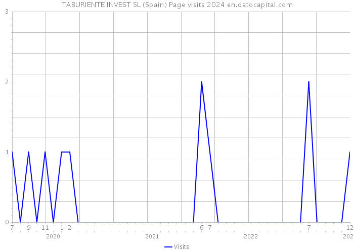 TABURIENTE INVEST SL (Spain) Page visits 2024 
