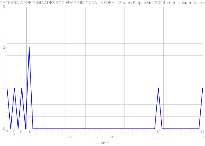 PATRICIA OPORTUNIDADES SOCIEDAD LIMITADA LABORAL (Spain) Page visits 2024 