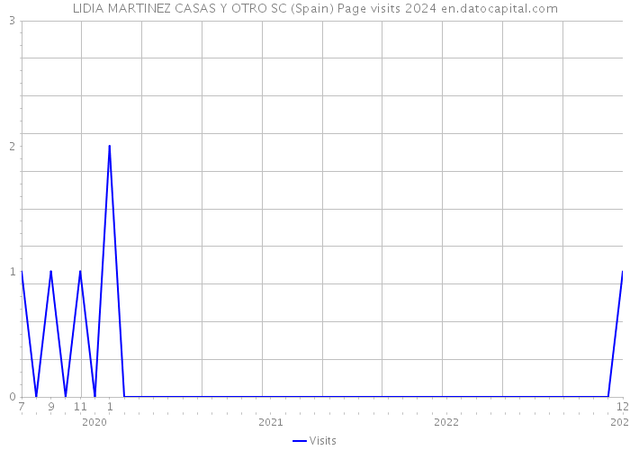 LIDIA MARTINEZ CASAS Y OTRO SC (Spain) Page visits 2024 