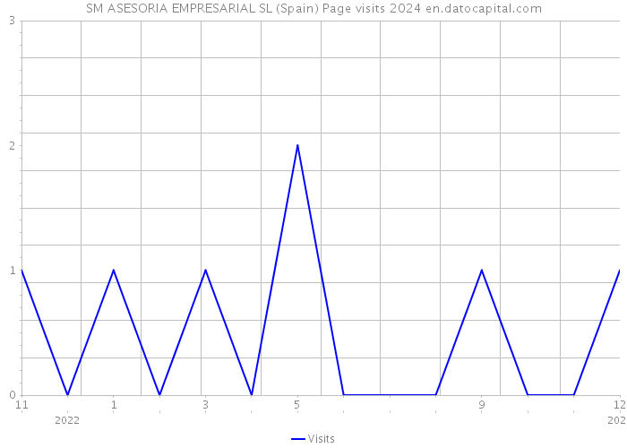 SM ASESORIA EMPRESARIAL SL (Spain) Page visits 2024 