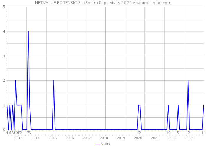 NETVALUE FORENSIC SL (Spain) Page visits 2024 