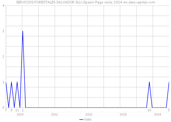SERVICIOS FORESTALES SALVADOR SLU (Spain) Page visits 2024 