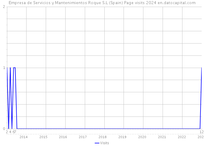 Empresa de Servicios y Mantenimientos Roque S.L (Spain) Page visits 2024 