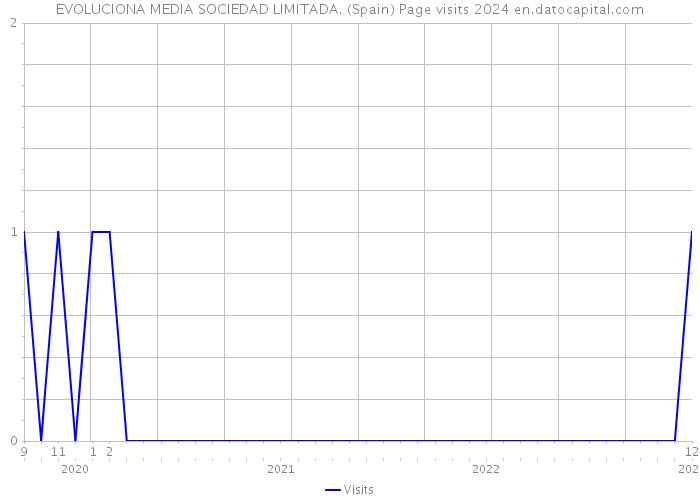 EVOLUCIONA MEDIA SOCIEDAD LIMITADA. (Spain) Page visits 2024 