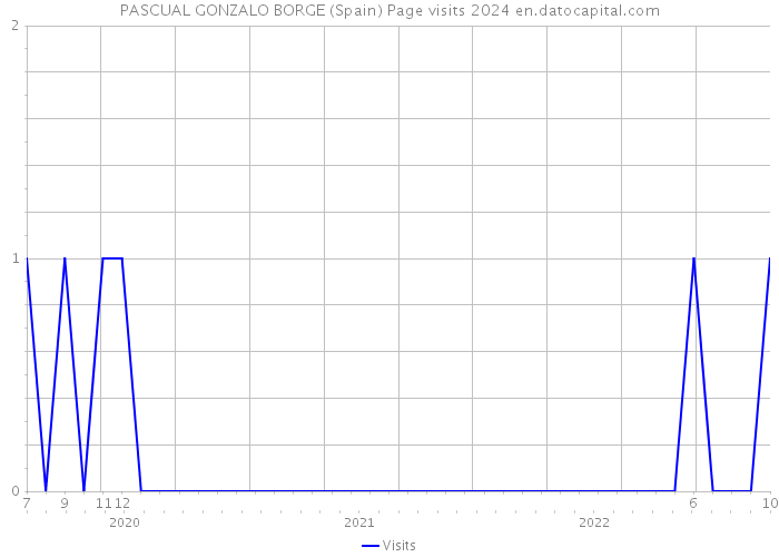 PASCUAL GONZALO BORGE (Spain) Page visits 2024 