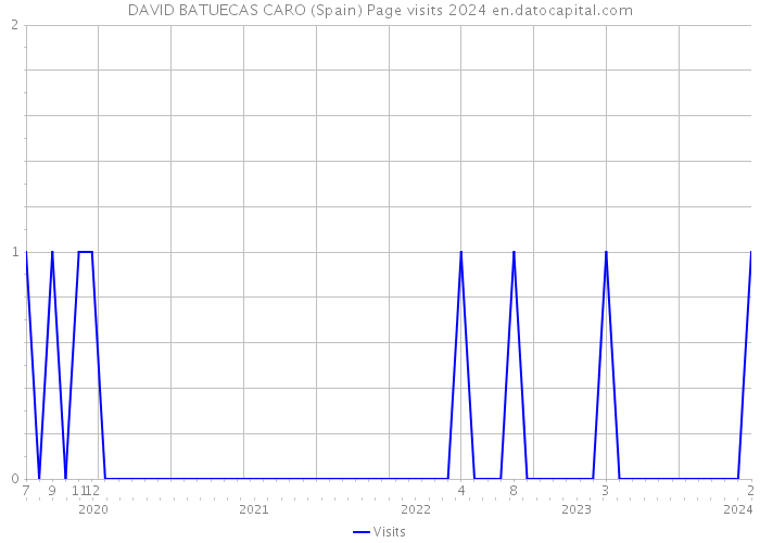 DAVID BATUECAS CARO (Spain) Page visits 2024 