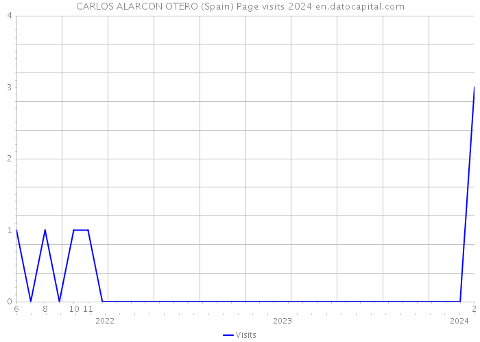 CARLOS ALARCON OTERO (Spain) Page visits 2024 