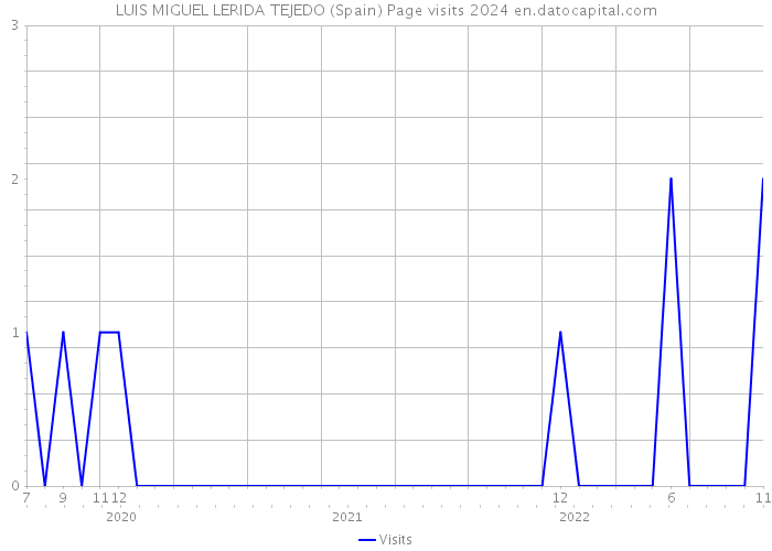 LUIS MIGUEL LERIDA TEJEDO (Spain) Page visits 2024 